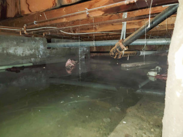 Best Commercial water damage restoration  in Somers Point, NJ