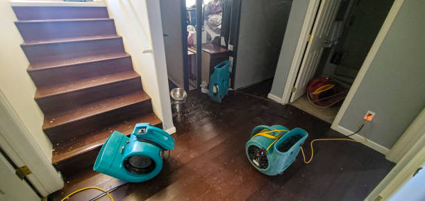 Best 24/7 water damage repair  in Somers Point, NJ