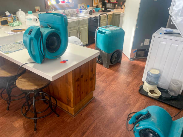 Best Mold removal after water damage  in Somers Point, NJ