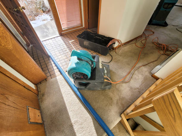 Best Water damage restoration near me  in Somers Point, NJ