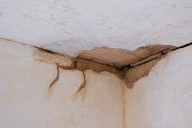 Best Fire Damage Restoration  in Somers Point, NJ