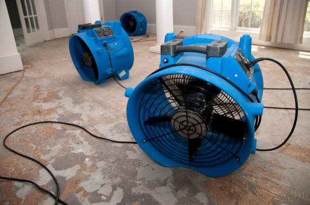Best Sewage cleanup and water damage restoration  in Somers Point, NJ