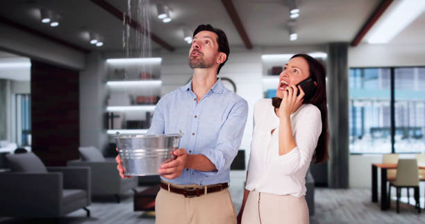 Best Mold removal after water damage  in Somers Point, NJ